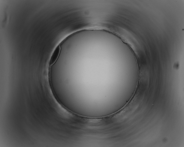 X0000102831484200809021302