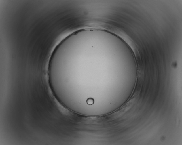 X0000102831485200809021302