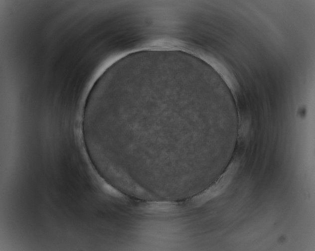 X0000102831486200809021302