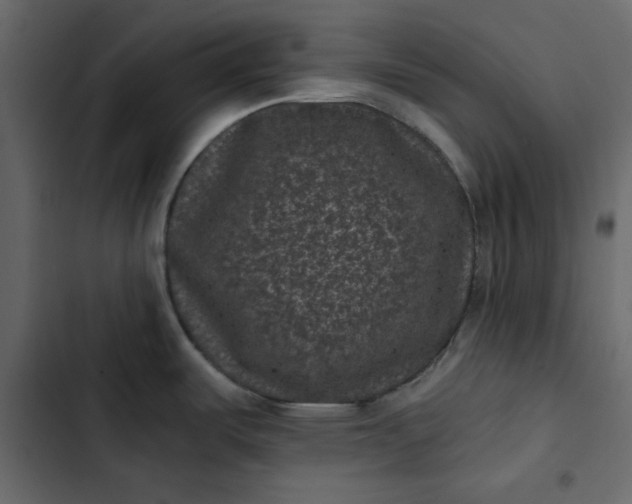 X0000102831487200809021302