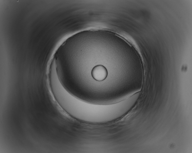 X0000102831488200809021302