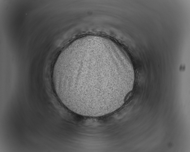 X0000102831489200809021301