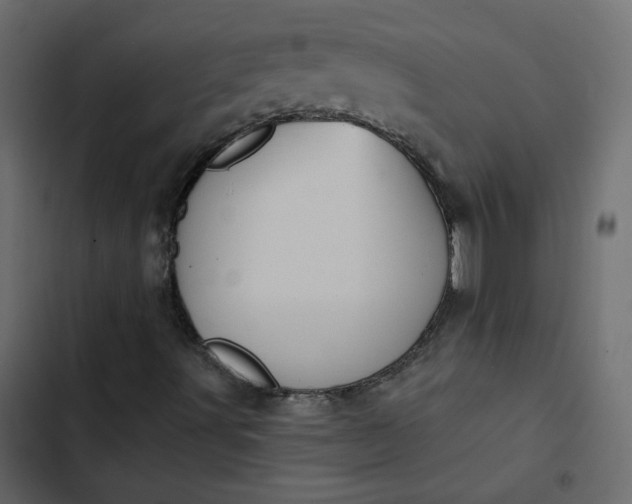 X0000102831491200809021301