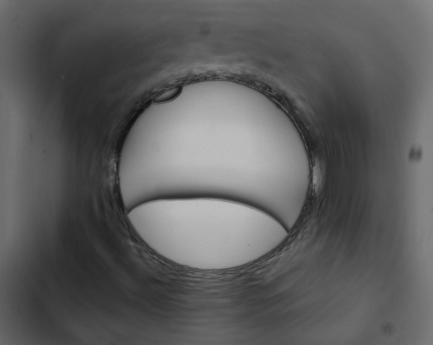 X0000102831492200809021301