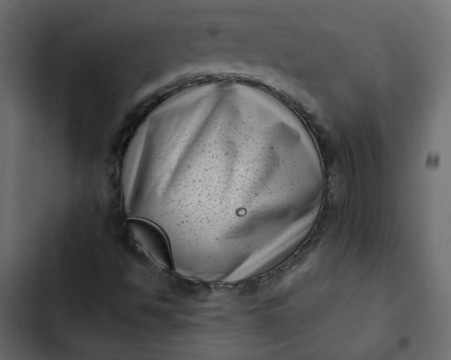 X0000102831494200809021301