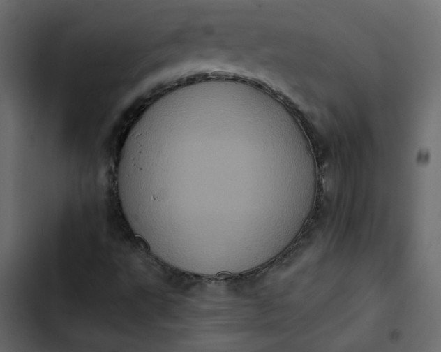 X0000102831495200809021301