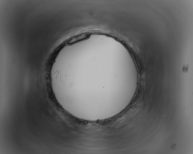 X0000102831496200809021301