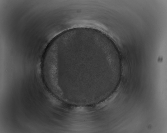 X0000102831497200809021301