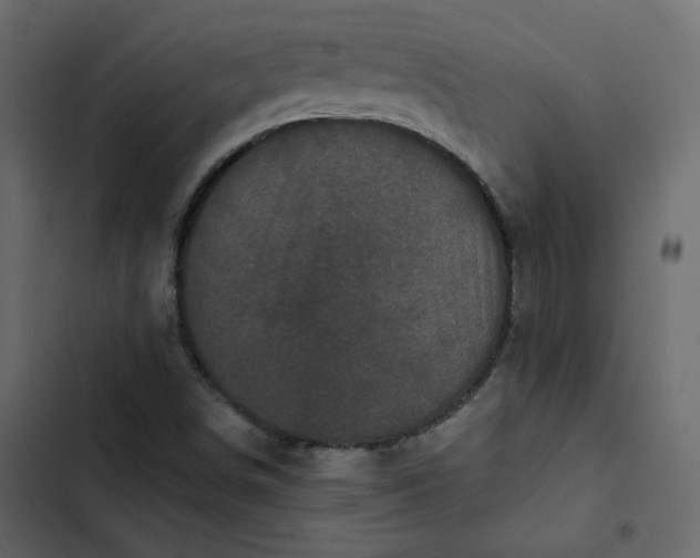 X0000102831498200809021301