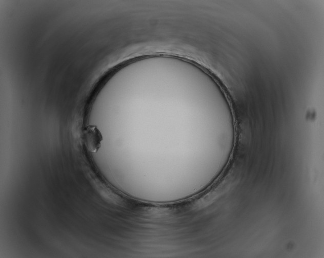 X0000102831499200809021301