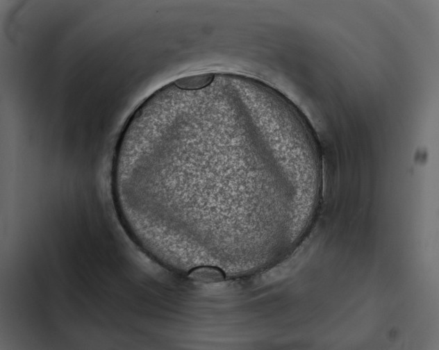 X0000102831500200809021301