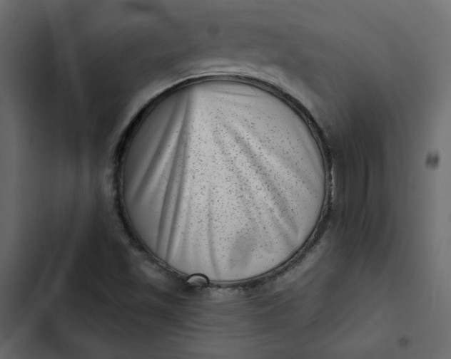 X0000102831501200809021301