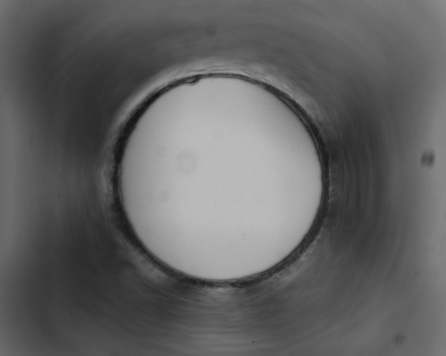 X0000102831502200809021301