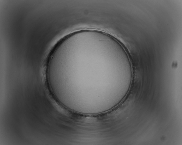 X0000102831503200809021302