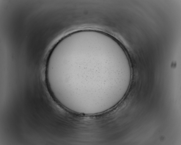 X0000102831504200809021302