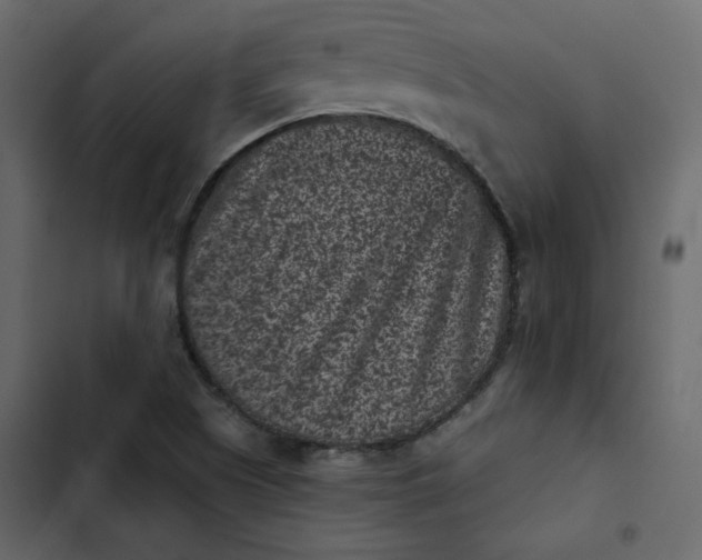 X0000102831505200809021302