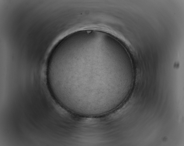 X0000102831506200809021302