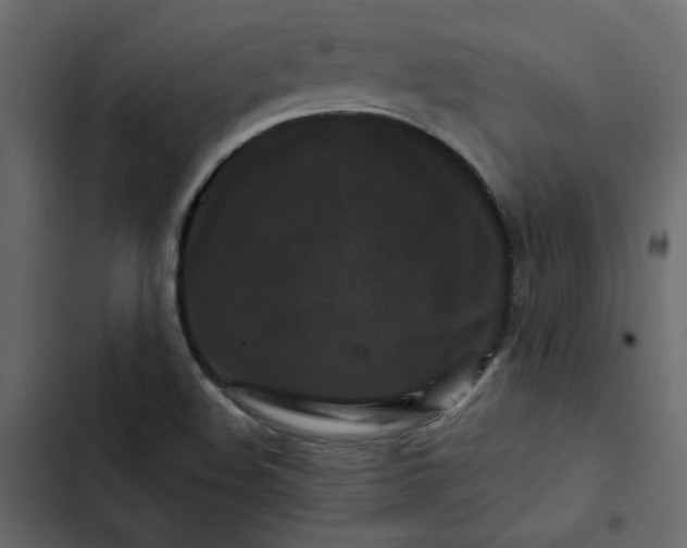 X0000102831508200809021302