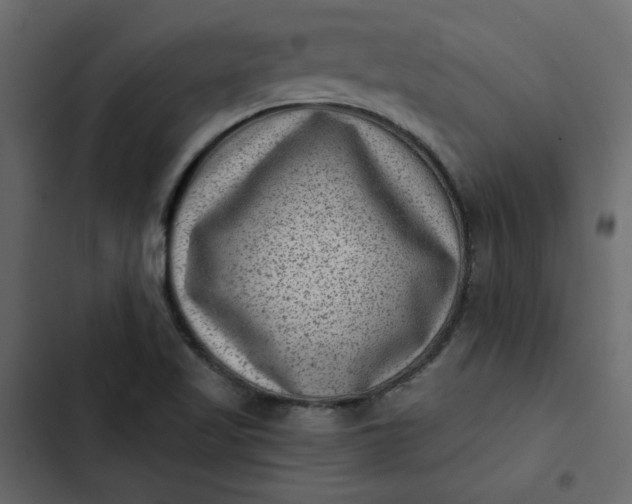 X0000102831509200809021302