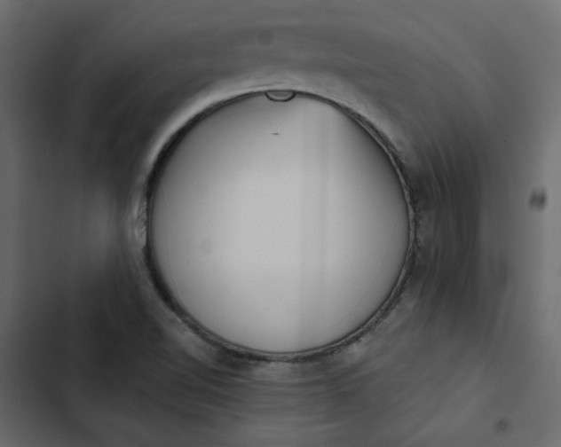 X0000102831510200809021302