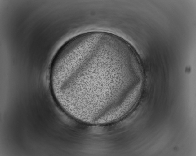 X0000102831511200809021302