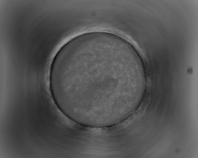 X0000102831512200809021302