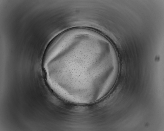 X0000102831513200809021302