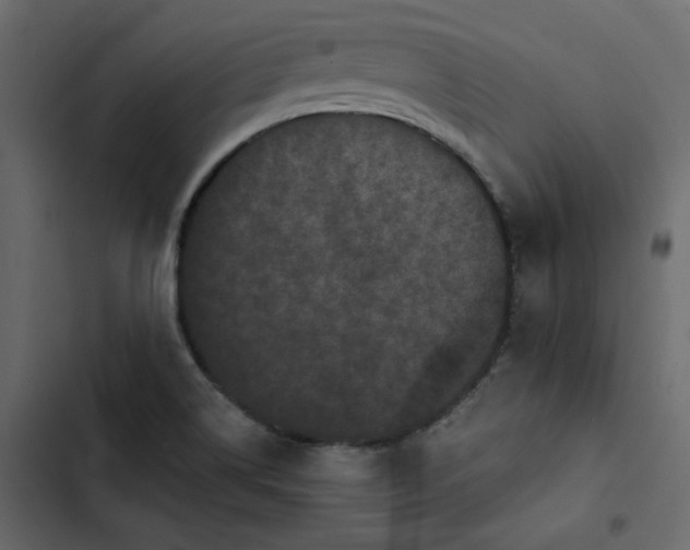 X0000102831514200809021302