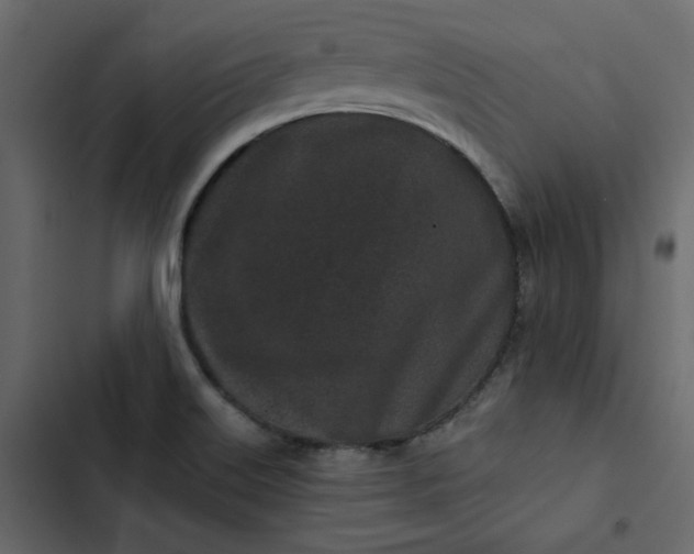 X0000102831515200809021302