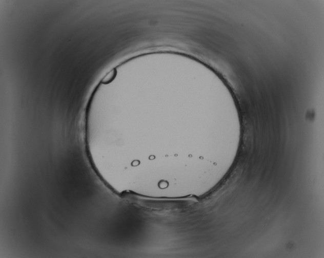 X0000102831516200809021302