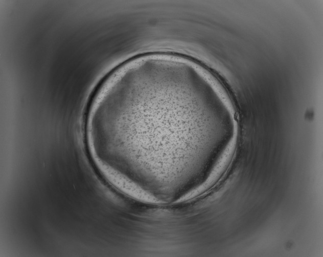 X0000102831517200809021302