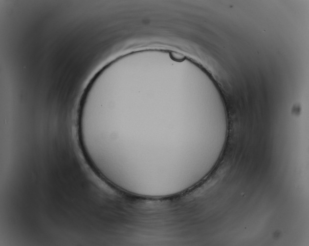 X0000102831518200809021302