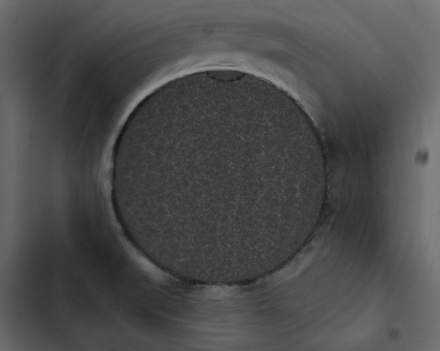 X0000102831519200809021302