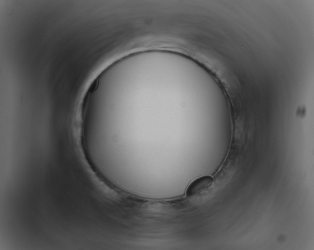 X0000102831520200809021302