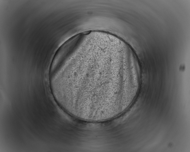 X0000102831521200809021302