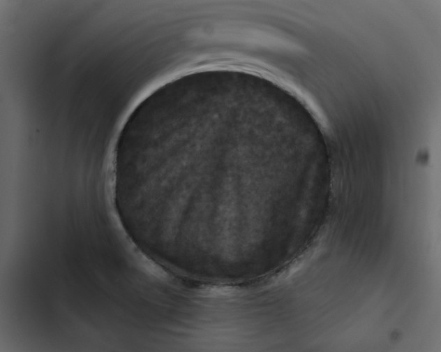 X0000102831522200809021302