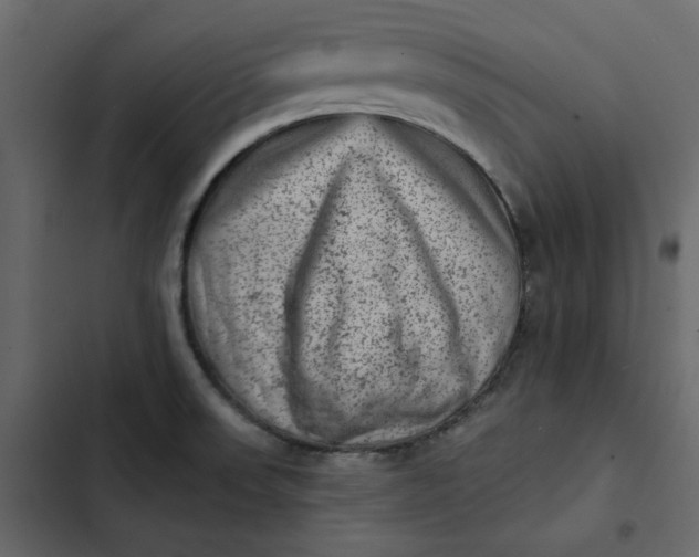 X0000102831523200809021302