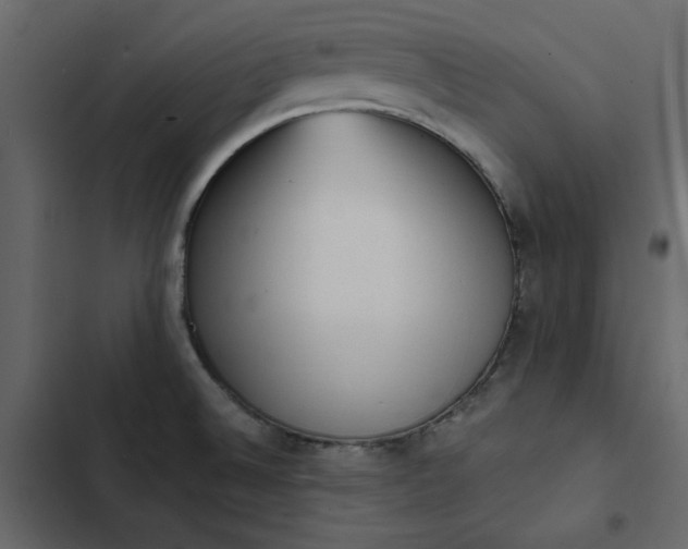 X0000102831524200809021302