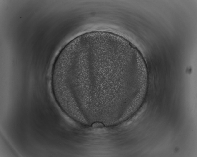 X0000102831525200809021302