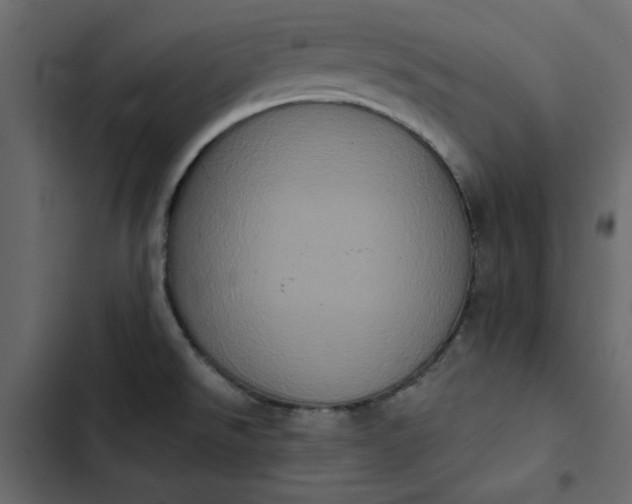 X0000102831526200809021302