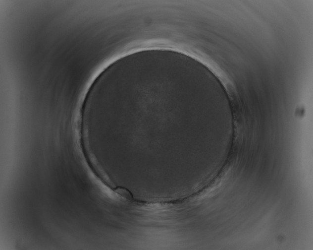 X0000102831527200809021302