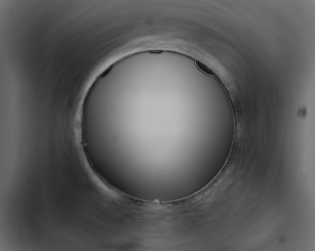 X0000102831528200809021302