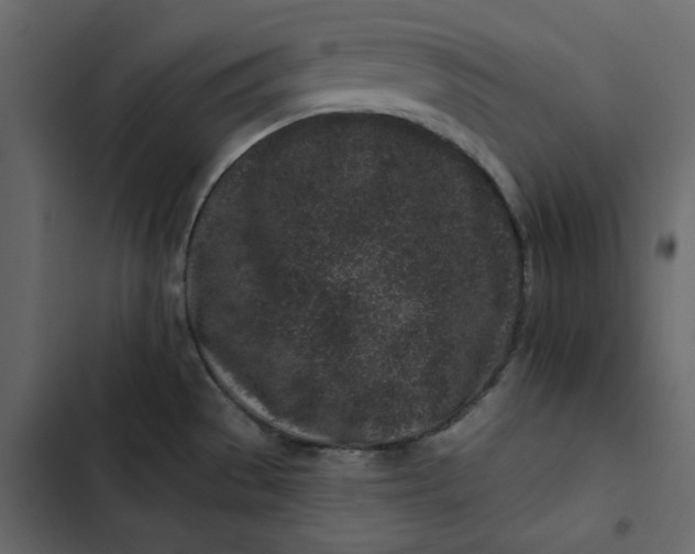 X0000102831529200809021302