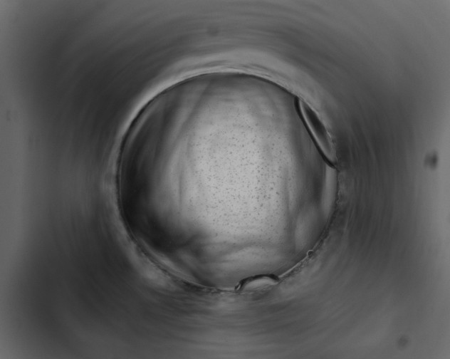 X0000102831530200809021302