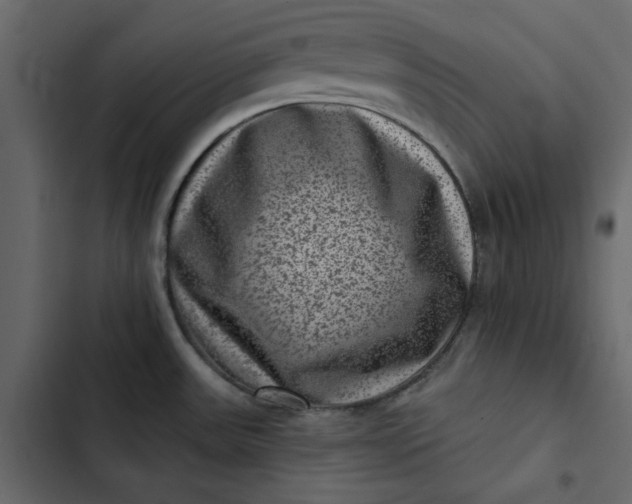 X0000102831531200809021302