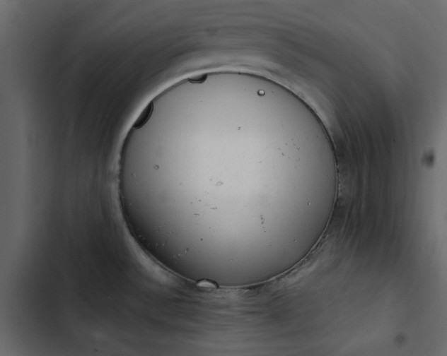 X0000102831532200809021302