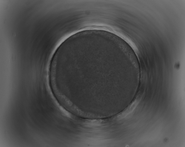 X0000102831533200809021302