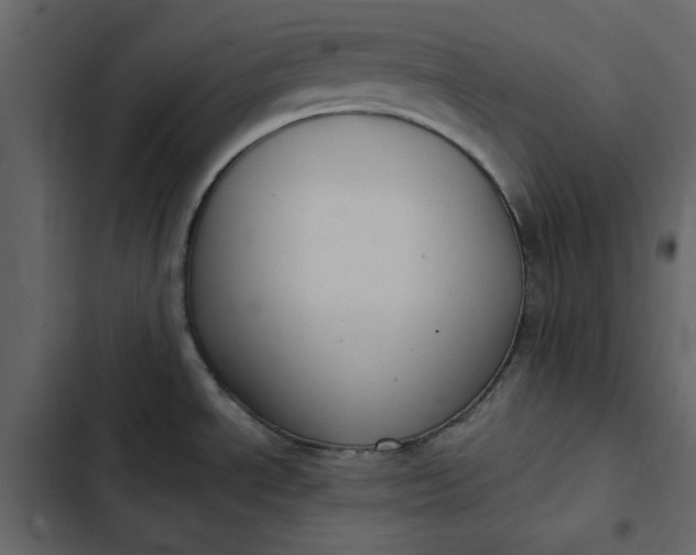 X0000102831534200809021302