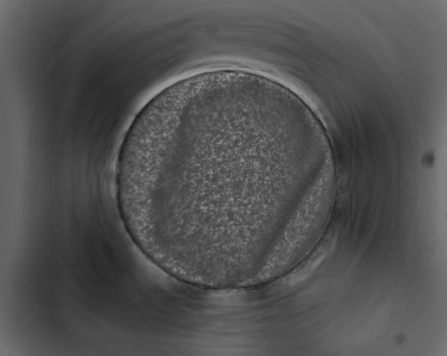 X0000102831535200809021302