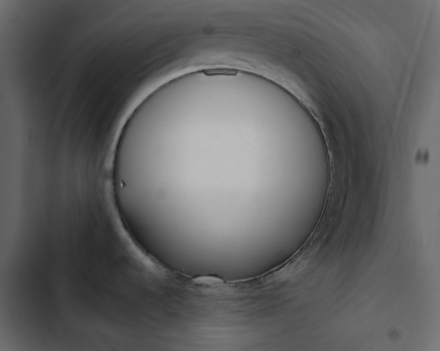 X0000102831536200809021302